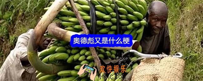 奥德彪又是什么梗