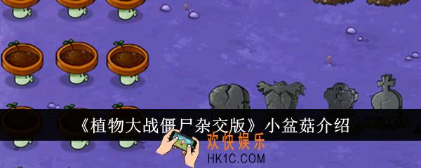植物大战僵尸杂交版小盆菇怎么样