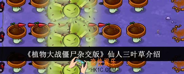 植物大战僵尸杂交版仙人三叶草怎么样
