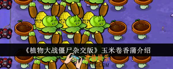 植物大战僵尸杂交版玉米卷香蒲怎么样