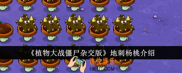 植物大战僵尸杂交版地刺杨桃怎么样
