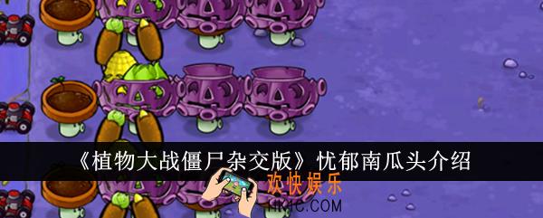 植物大战僵尸杂交版忧郁南瓜头怎么样