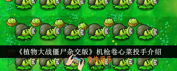 植物大战僵尸杂交版机枪卷心菜投手怎么样