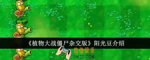 植物大战僵尸杂交版阳光豆怎么样