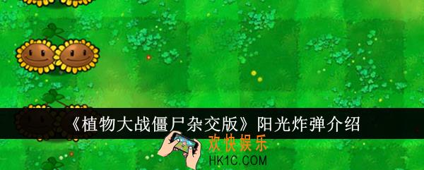 植物大战僵尸杂交版阳光炸弹怎么样