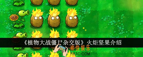 植物大战僵尸杂交版火炬坚果怎么样