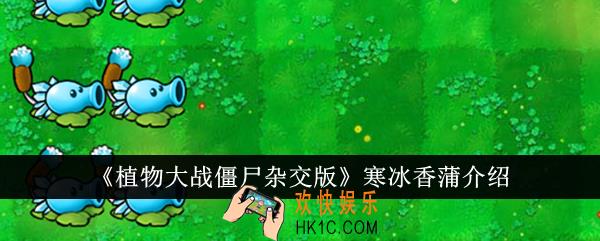 植物大战僵尸杂交版寒冰香蒲怎么样