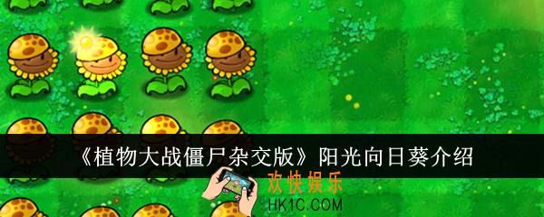 植物大战僵尸杂交版阳光向日葵怎么样