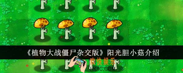 植物大战僵尸杂交版阳光胆小菇怎么样
