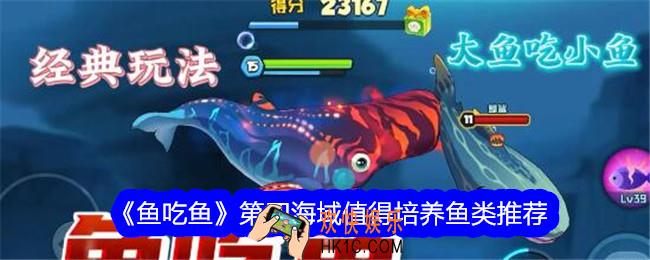 鱼吃鱼第四海域什么鱼值得培养