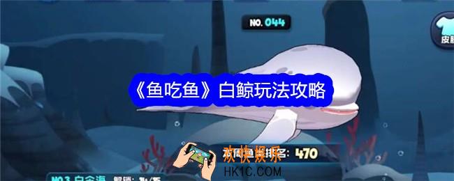 鱼吃鱼游戏白鲸在哪个海域