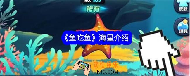 鱼吃鱼海星怎么样