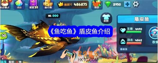 鱼吃鱼盾皮鱼怎么样