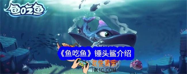 鱼吃鱼锤头鲨是第几海域