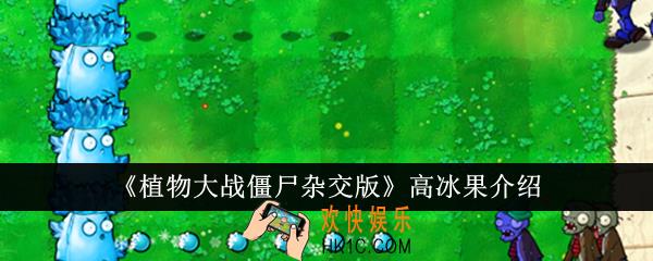 植物大战僵尸杂交版高冰果怎么样