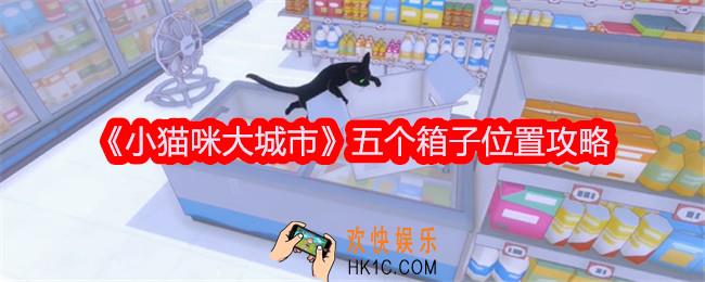 小猫咪大城市箱子在哪里