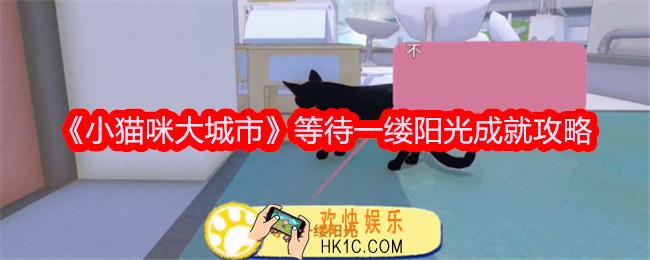 小猫咪大城市等待一缕阳光成就达成