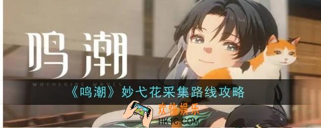 鸣潮妙弋花采集路线是什么