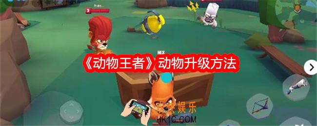 动物王者动物怎么升级