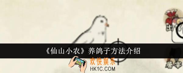 仙山小农怎么养鸽子