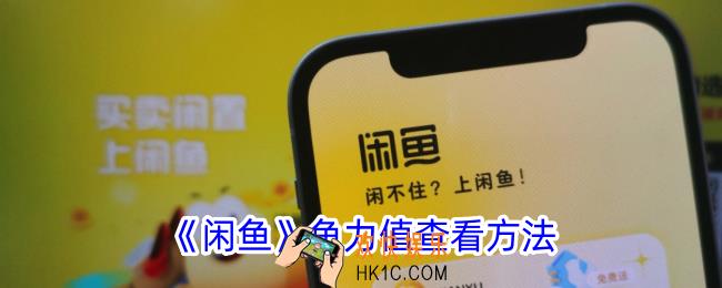 闲鱼鱼力值在哪看