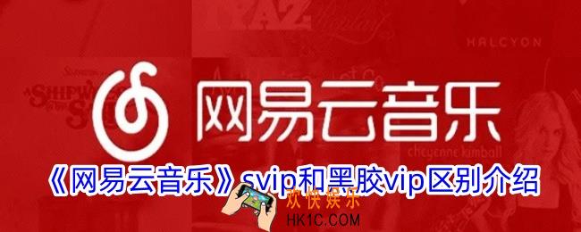 网易云音乐svip和vip有什么区别
