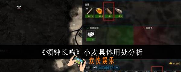 颂钟长鸣小麦具体用处有哪些