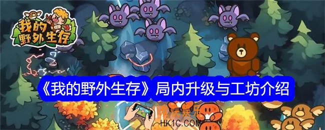 我的野外生存