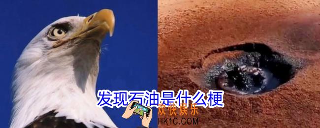 发现石油是什么梗