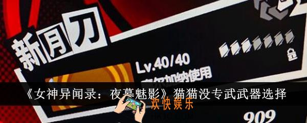 女神异闻录夜幕魅影猫猫没专武武器怎么选