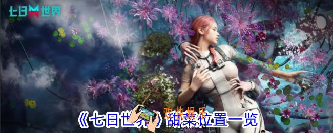 七日世界甜菜位置在哪