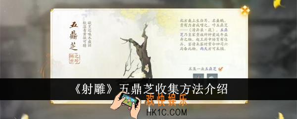 射雕五鼎芝怎么收集
