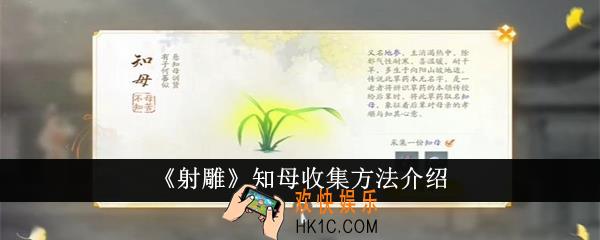 射雕知母怎么收集