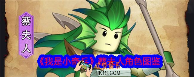 我是小奇兵蔡夫人怎么样