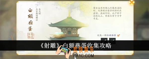 射雕白额燕蛋怎么收集