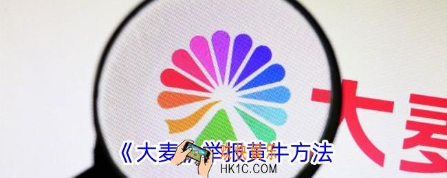 大麦怎么举报黄牛