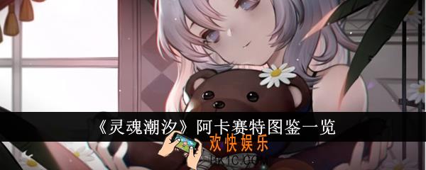 灵魂潮汐阿卡赛特怎么样