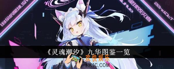 灵魂潮汐九华图鉴怎么样