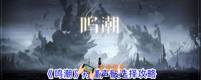 鸣潮丹瑾‌声骸怎么选择