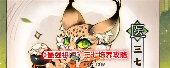 最强祖师三七怎么样