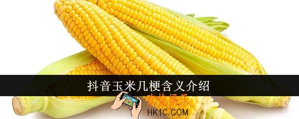 抖音玉米几是什么意思