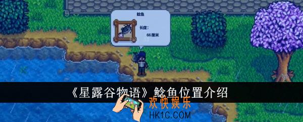 星露谷物语鲶鱼位置在哪里