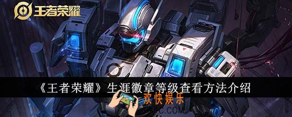 王者荣耀生涯徽章等级怎么查看