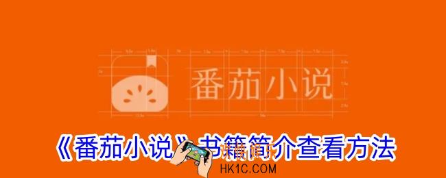 番茄小说怎么看小说简介