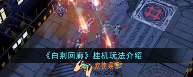 白荆回廊方便挂机吗