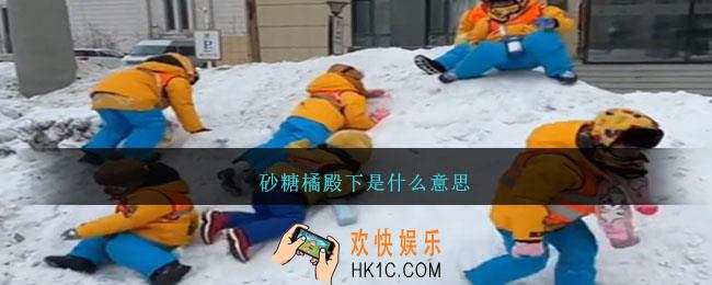 砂糖橘殿下是什么意思