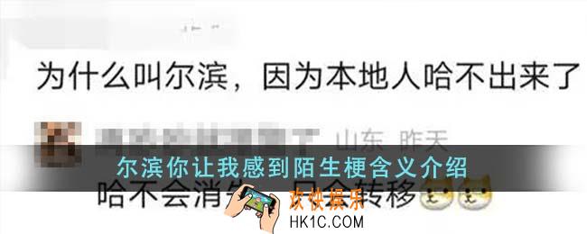 尔滨你让我感到陌生梗是什么意思