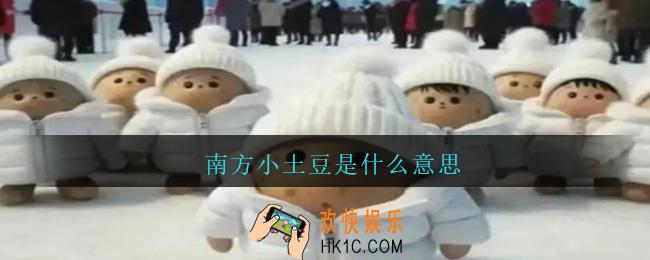 南方小土豆是什么意思