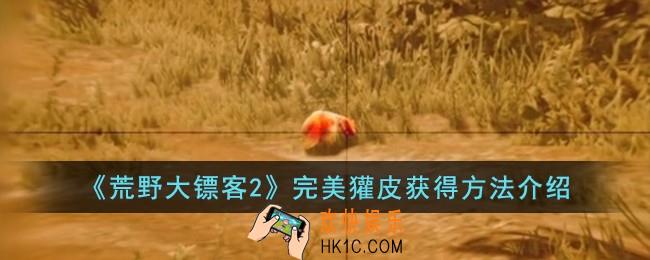 荒野大镖客2完美獾皮怎么获得