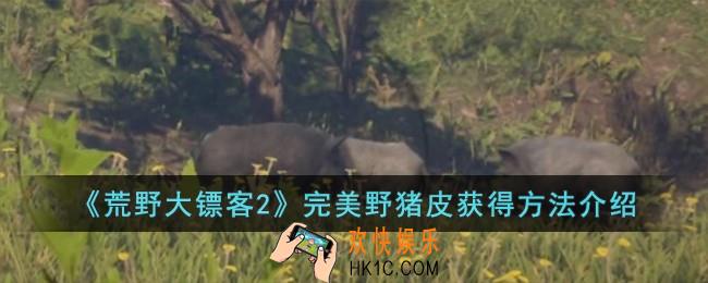 荒野大镖客2完美野猪皮怎么获得